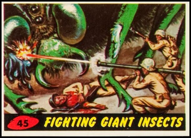 45 Fighting Giant Insects